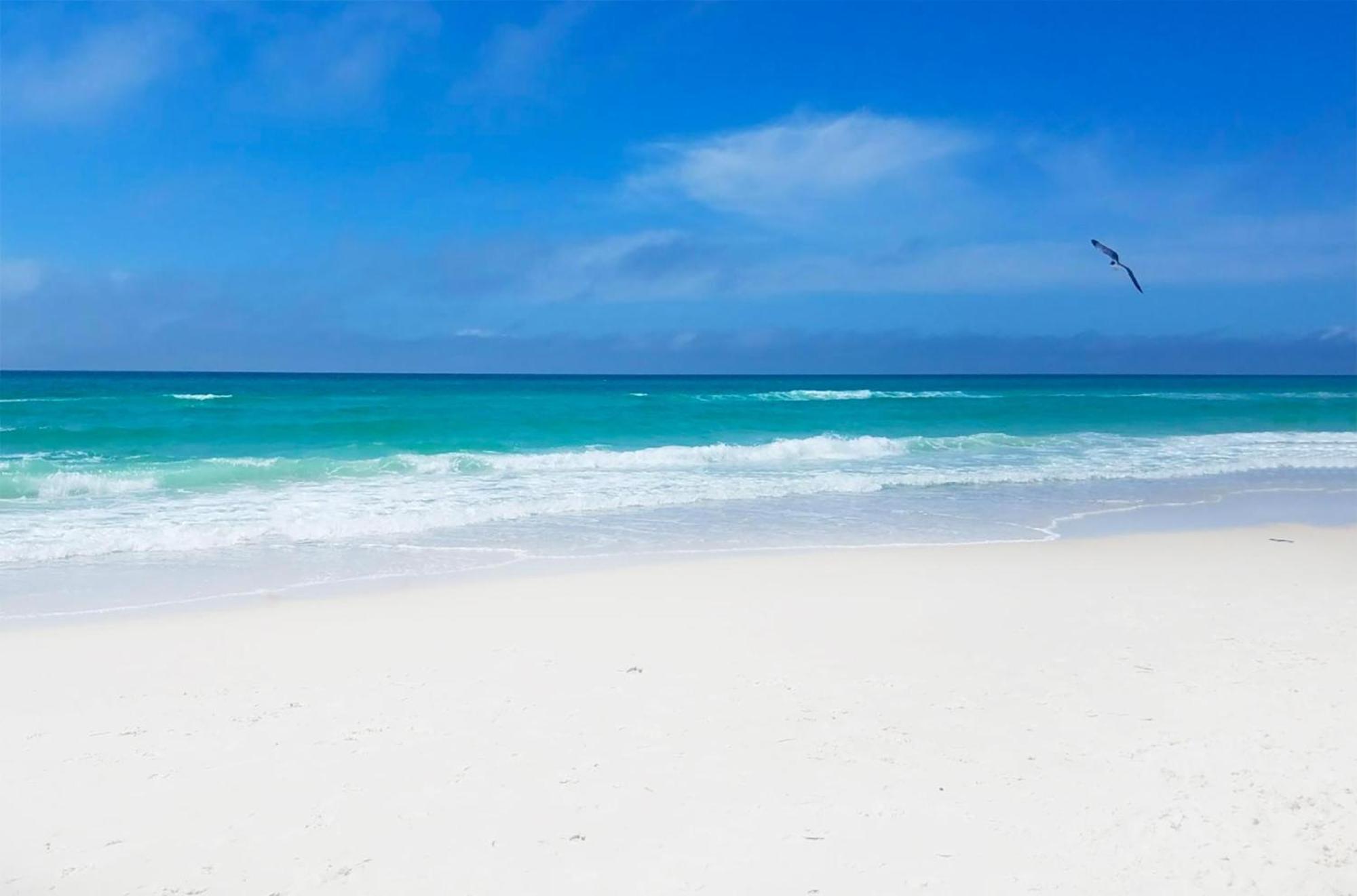 Appartement Summerhouse 1009b Panama City Beach